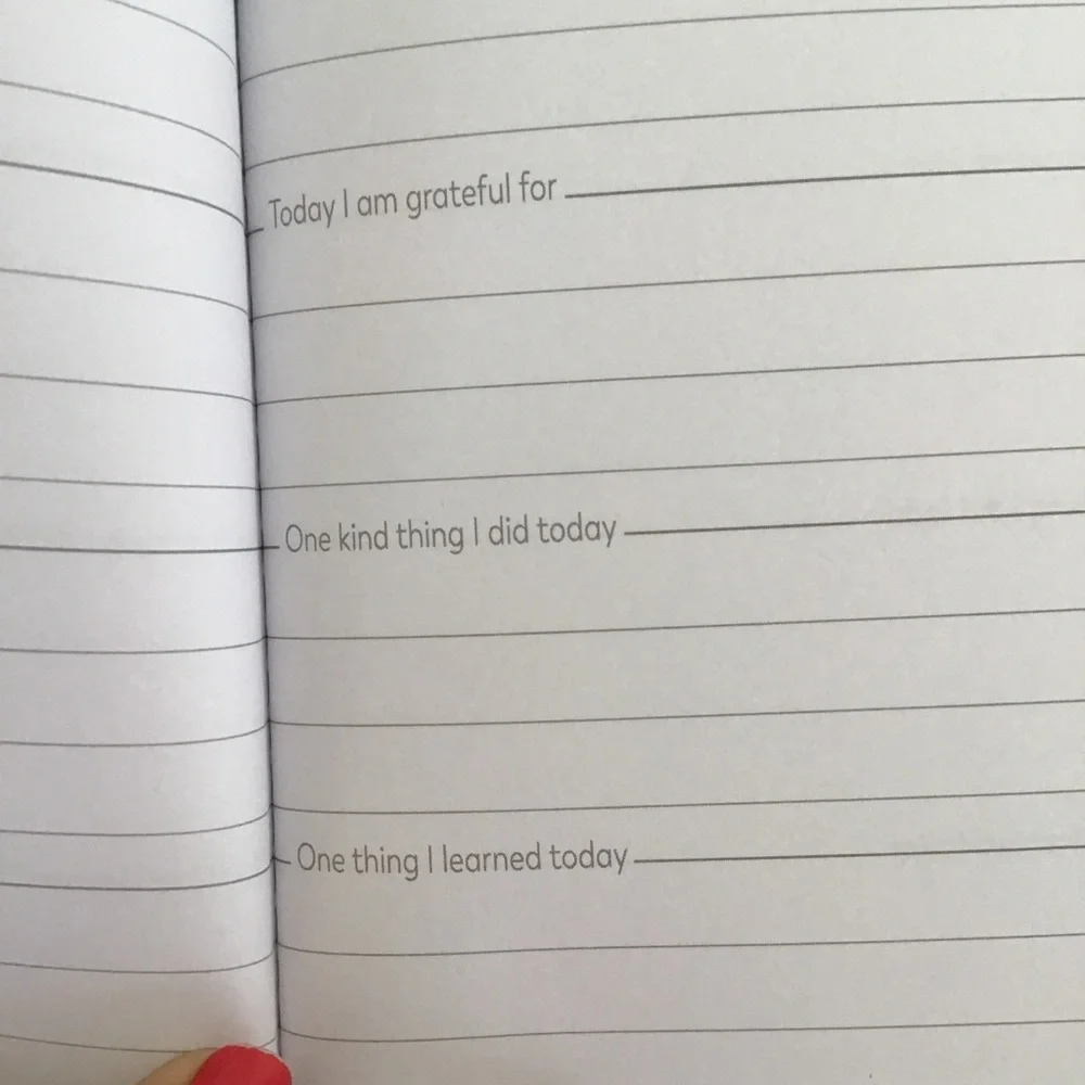 POCKET GRATITUDE JOURNAL NWT Size: 7.5 x 5.5